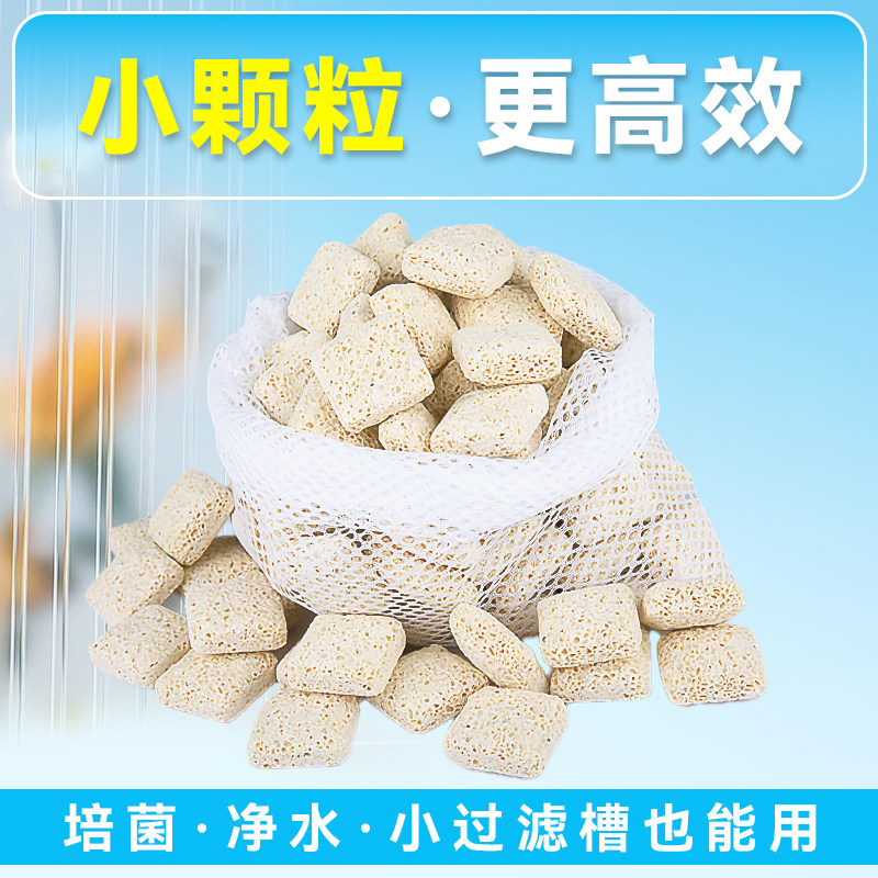 滤材鱼缸过滤材料珊瑚骨滤材鱼缸专用鱼池净水海缸培菌珊瑚石滤材,淘宝优惠券,粉丝福利购,淘宝优惠卷