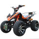 ລົດຈັກ ATV ຂະໜາດໃຫຍ່ ແລະຂະໜາດນ້ອຍຂອງ Mars ATV ສີ່ລໍ້ off-road ລົດຈັກ Kawasaki ATV ຄວາມໄວທີ່ປ່ຽນແປງໄດ້ຕະຫຼອດການ ATV ໄຟຟ້າສາທາລະນະ