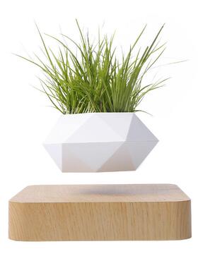 磁浮中悬浮空植物盆悬栽意摆件家居饰创M005B-PW品工艺礼品新奇特