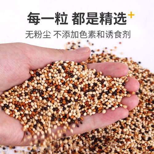 鹦鹉饲料鸟粮混合粮食小太阳玄凤虎皮牡丹营养鸟料鸟食五色黍子5 - 图2
