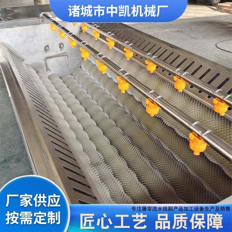 土豆红薯毛刷清洗去皮机花生毛辊清洗设备不锈钢毛刷果蔬清洗机,淘宝优惠券,粉丝福利购,淘宝优惠卷