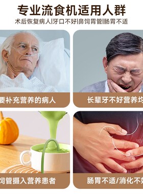 德国Desadi鼻饲流食破壁机打流食胃管老人食物小型多功能搅拌机