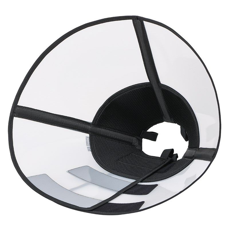 2024款狗狗加深加大伊丽莎白圈防蹬耳朵防舔腿肚子防抓绝育手术,淘宝优惠券,粉丝福利购,淘宝优惠卷