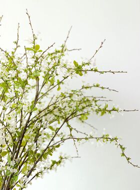 靓家花房仿真手球雪柳枝条餐桌装饰花艺插花摆件嫩柳芽枝假花摆设