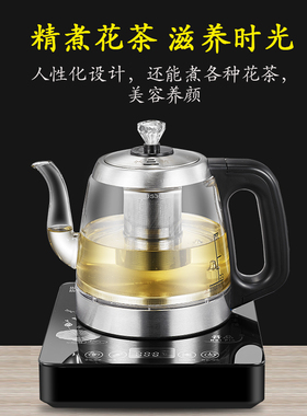 小型手把上水煮茶壶黑茶壶煮茶器家用全自动蒸汽喷淋式玻璃养生壶