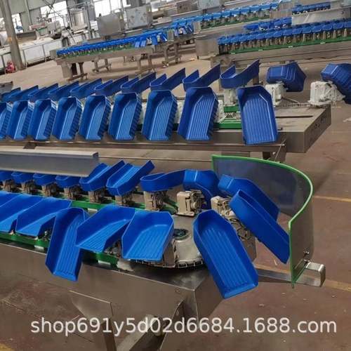 白青胡萝卜重量分选玉米鱼海鲜水果蔬菜称重分拣设备苹果梨分选机 - 图0