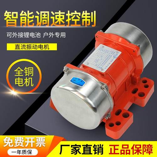 普田微小型12V直流振动电机24V震动马达振平尺搅拌车载下料振动器 - 图0