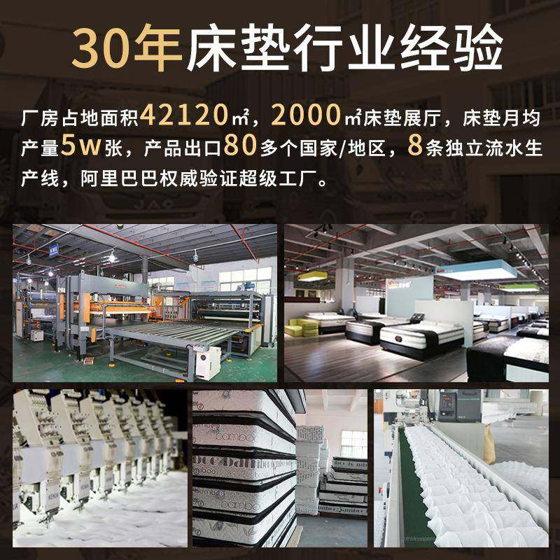 租房民宿家用弹簧床垫硬垫护脊护腰环保椰棕床垫20cm厚,淘宝优惠券,粉丝福利购,淘宝优惠卷