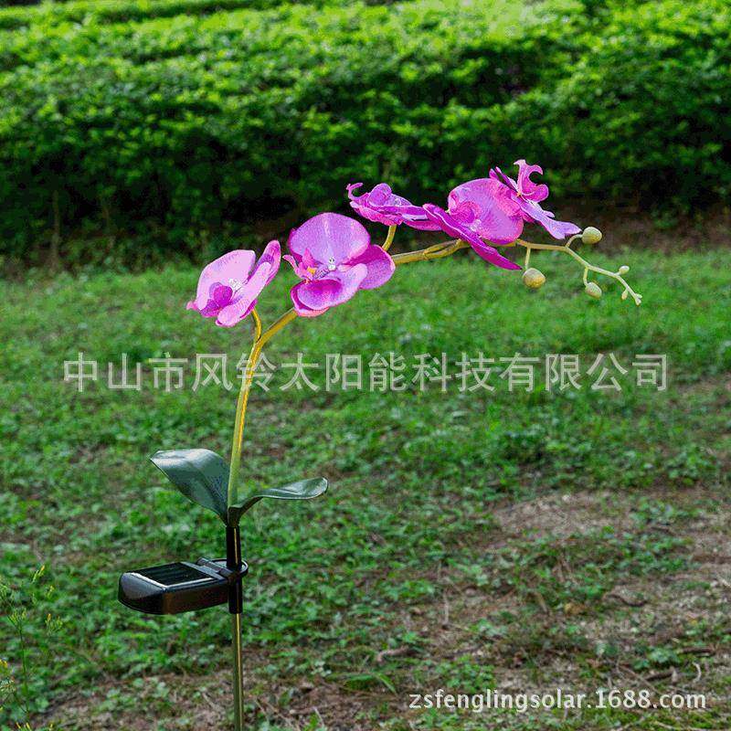 太阳能5LED蝴蝶兰花灯LED兰花紫色粉红白色兰花灯仿真花园草坪灯,淘宝优惠券,粉丝福利购,淘宝优惠卷