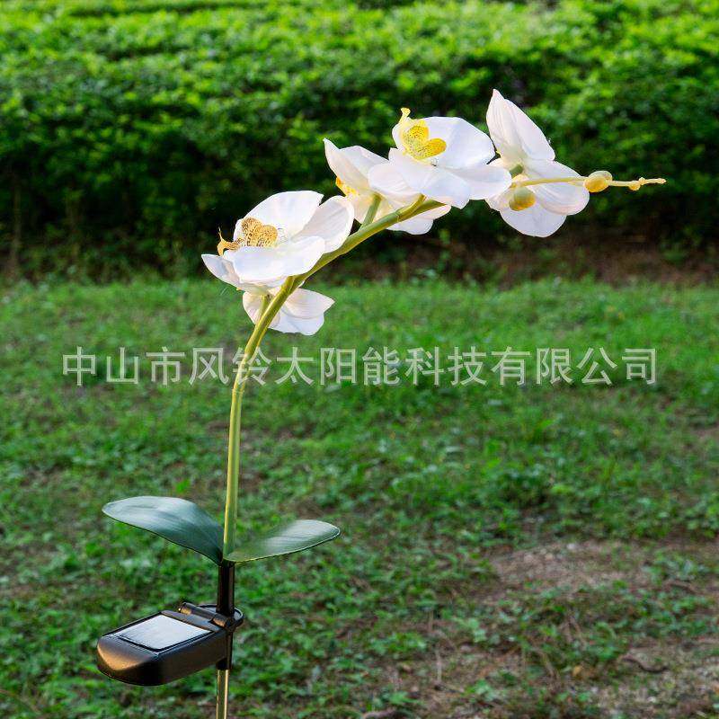 太阳能5LED蝴蝶兰花灯LED兰花紫色粉红白色兰花灯仿真花园草坪灯,淘宝优惠券,粉丝福利购,淘宝优惠卷