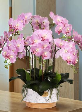 蝴蝶兰带花仿真花高档湿感兰花假花大盆花苞客厅前台装饰摆件包邮
