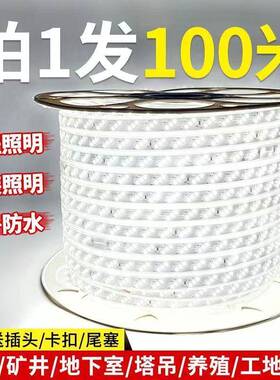 220V灯带LED高亮家装吊顶三色变光软灯条户外工程灯带暖白光