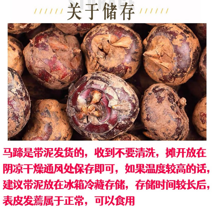 广西特产新鲜马蹄爆汁脆甜正宗荸荠鲜嫩爽口粉糯香甜地栗梨饽荠,淘宝优惠券,粉丝福利购,淘宝优惠卷