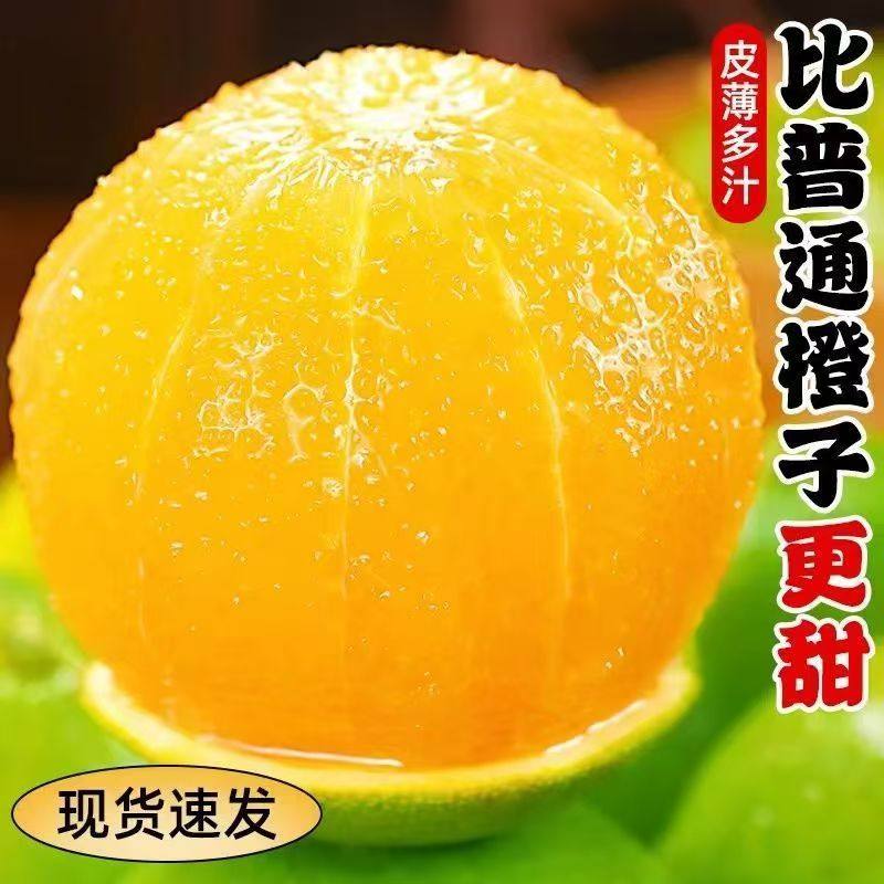 一级正宗云南哀牢山冰糖橙9包邮新鲜水果橙子当季整箱柑手剥甜橙,淘宝优惠券,粉丝福利购,淘宝优惠卷