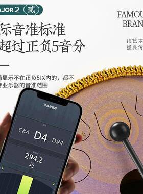 14音空灵鼓蝶形鼓钢舌鼓空色鼓打击乐器专业级