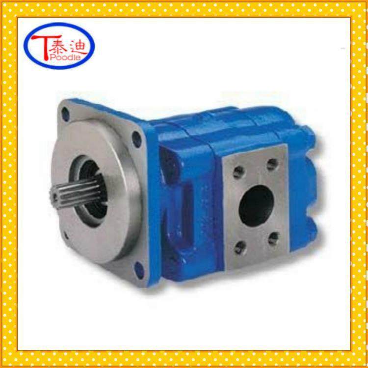 P124-G25182ID-54G齿轮泵高压齿轮油泵,淘宝优惠券,粉丝福利购,淘宝优惠卷