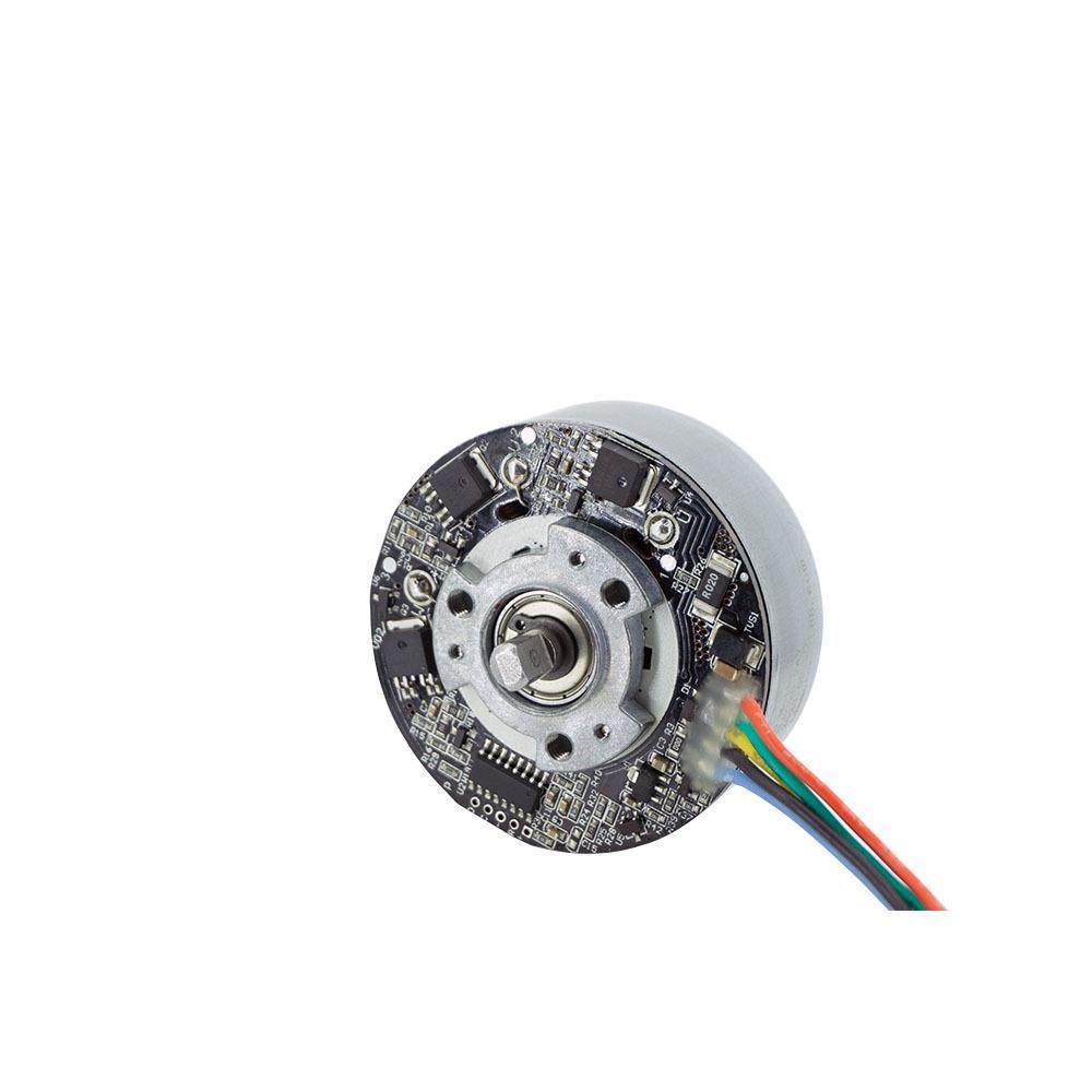 筋膜枪外转子直流无刷电机5520.4818.3920.3816.2830外转子,淘宝优惠券,粉丝福利购,淘宝优惠卷