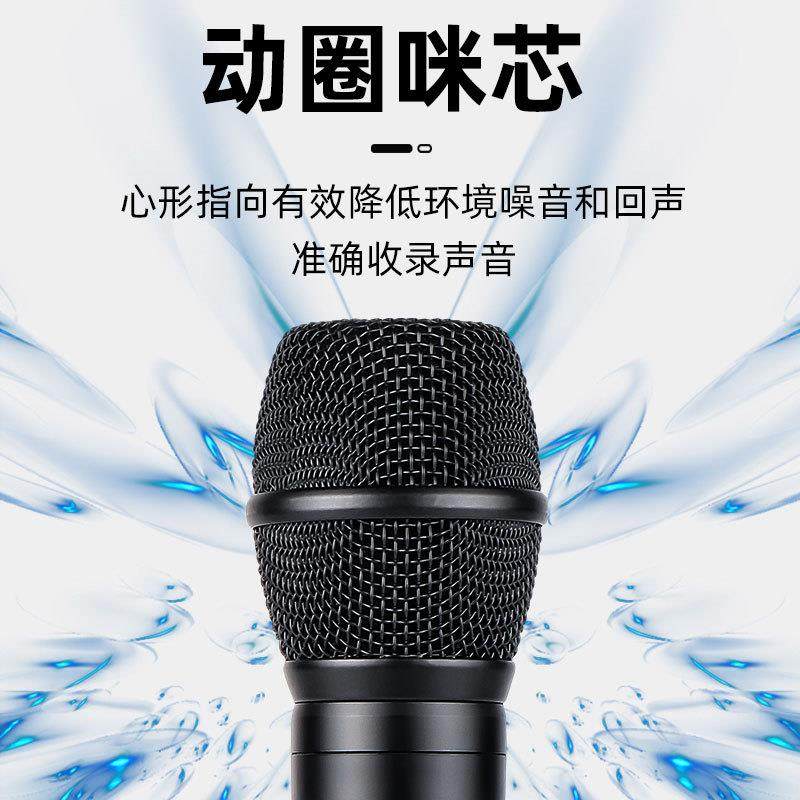 专业一拖二无线麦克风手持话筒K歌舞台演出家庭KTV爆款,淘宝优惠券,粉丝福利购,淘宝优惠卷