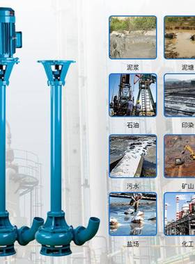 NL50-8泥浆泵铸铁不锈钢液下抽污泥淤泥泥浆浓浆压滤机配套