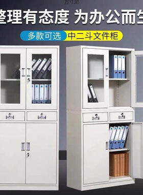 文件柜钢制办公铁皮柜资料档案柜员工储物更衣柜五层凭证带锁矮柜
