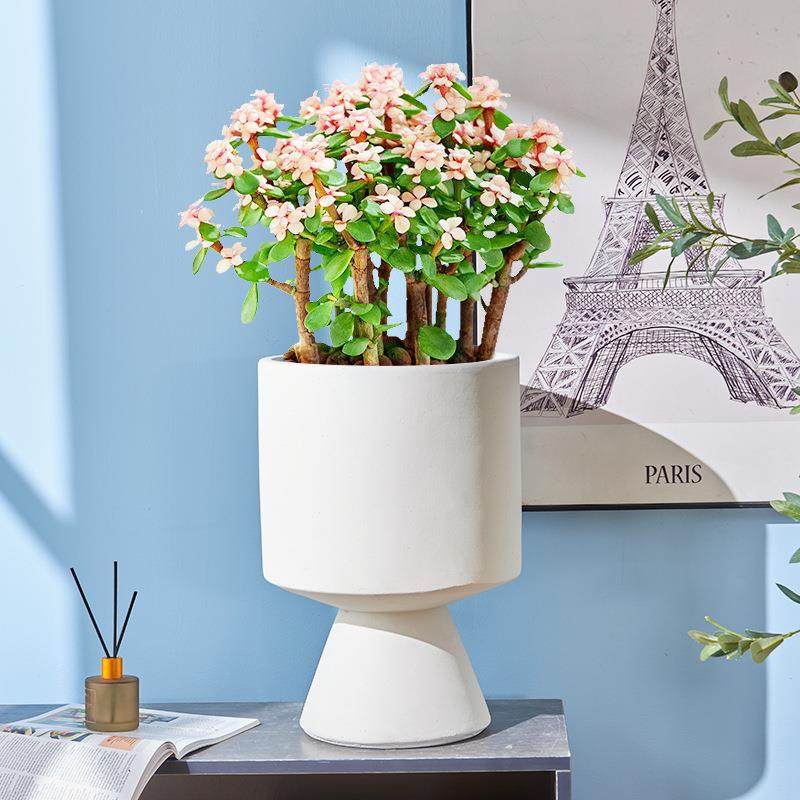 大号家用镁泥花盆托盘陶瓷大口径水泥盆栽罗迪盆水泥花盆,淘宝优惠券,粉丝福利购,淘宝优惠卷