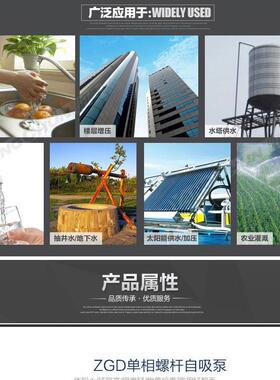 小型家用ZGD螺杆自吸泵高吸程220V抽水泵机农用高扬程铸铁螺杆泵