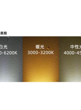 开孔26公分筒灯10寸超薄嵌入式天花灯24CM25厘米30W孔灯LED