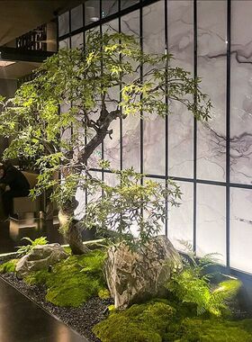 高端仿真枫叶树马醉木室内假树绿植造景装饰大型榕树简约橱窗植物
