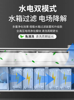 无烟净化烧烤车高端水电复合无烟净化车烧烤净化器平吸环保免清洗