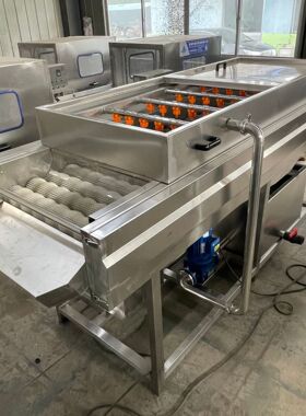 不锈钢平行毛辊清洗机 橙子红薯清洗抛光设备 生蚝海鲜清洗打蜡机