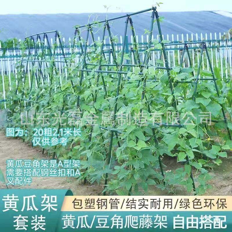 园艺爬藤架包塑钢管花支架黄瓜豆角西红柿架丝瓜葡萄架50支包邮,淘宝优惠券,粉丝福利购,淘宝优惠卷