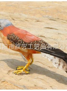 仿真红隼羽毛工艺品创意窗装饰影道摄027具红隼摆物件仿橱真动模