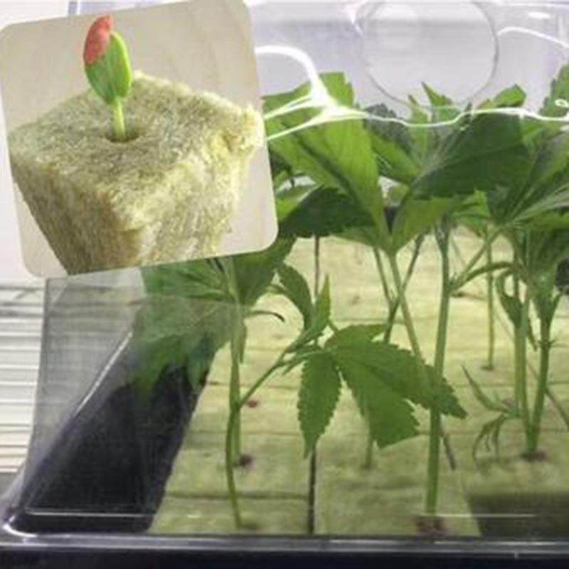 50*50*40无土栽培育苗岩棉块智慧农业水培岩棉基质,淘宝优惠券,粉丝福利购,淘宝优惠卷