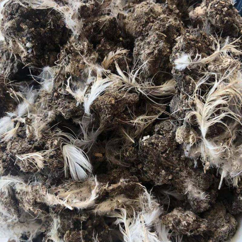 VOX然纯干鸡粪晒干干鸡粪块烘干风鸡粪有机料花卉蔬果鸡肥粪有机,淘宝优惠券,粉丝福利购,淘宝优惠卷