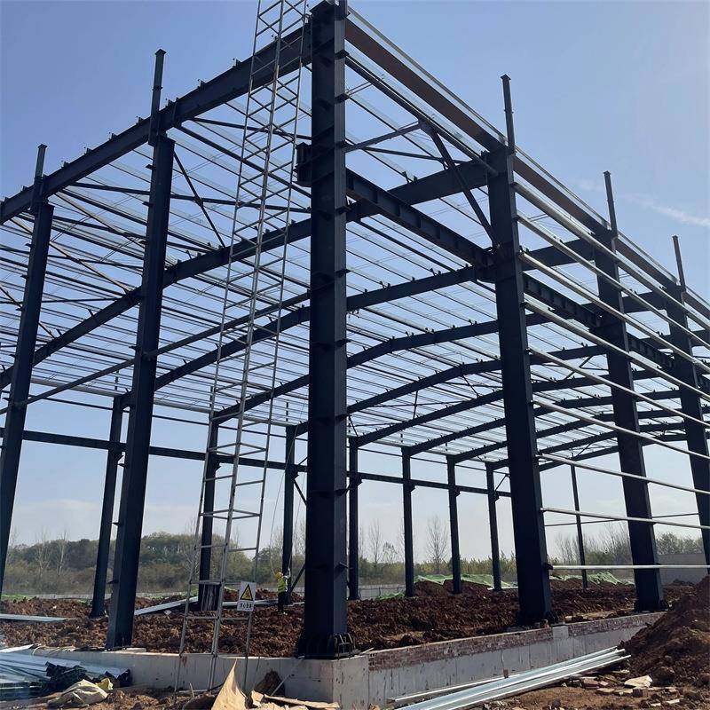 钢结构厂房搭建别墅钢结构建筑阁楼平台厂家加工H钢设计重型钢架,淘宝优惠券,粉丝福利购,淘宝优惠卷