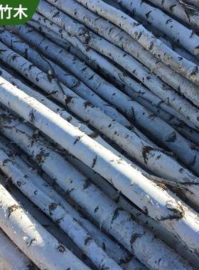 供应白桦木白桦树杆白桦树杆景观隔断拍摄道具定制