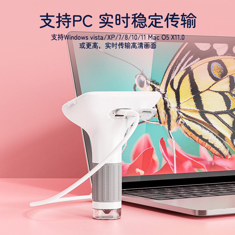 图2