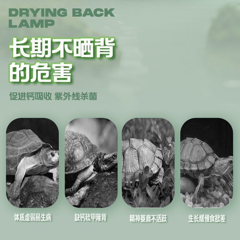 宠尚天乌龟晒背灯爬宠用品uva加热uvb取暖灯宠物太阳灯爬虫补钙灯,淘宝优惠券,粉丝福利购,淘宝优惠卷