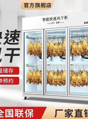 智能晾鸭柜商用烧鹅乳鸽烘干机解冻烤鸭风干超低温保鲜除湿晾胚柜