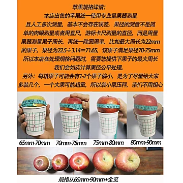 陕西红富士丑平苹果4.5斤[4元优惠券]-寻折猪