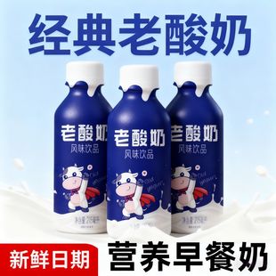 经典老酸奶生椰拿铁风味12瓶整箱即饮咖啡