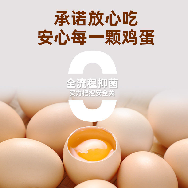 璞悠可生食鸡蛋正宗农家土鸡蛋无沙门氏菌无抗新鲜散养谷物蛋礼盒,淘宝优惠券,粉丝福利购,淘宝优惠卷