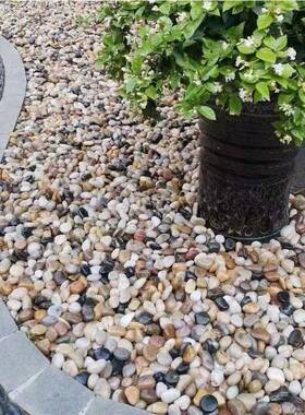 黑色雨花石庭造景黑色抛鹅卵石院园林光景观工程铺路五23122502彩