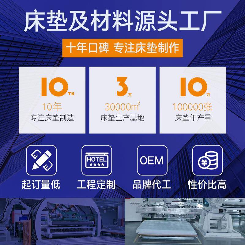 工厂1米5x2宿舍床垫学生上下铺硬垫工地90cm厚款3E棕床垫 - 图0