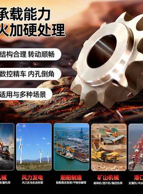 大模数工业传输机械大型链轮提升机单双排带台链轮双节距传动配件