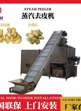 剥皮机爆皮机黄色洋葱剥皮去皮机械紫色洋葱蒸汽物理去皮机