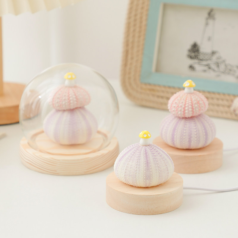 贝壳蘑菇灯摆件diy海胆壳装饰品卧室书房桌面小夜灯送人生日礼物,淘宝优惠券,粉丝福利购,淘宝优惠卷