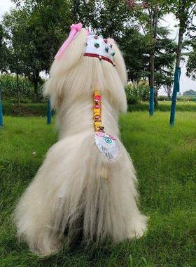 道网红舞龙笑舞脸子白色全套狮具全牛毛京双人舞CjYwZ2GB狮舞狮狮