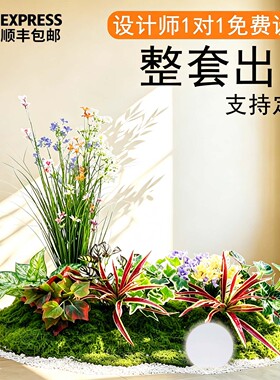 仿真绿植造景橱窗装饰场景布置室内景观造景绿植阳台绿植造景布置