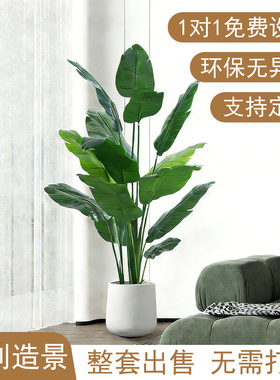 天堂鸟仿真绿植景观造景植物阳台景观布置高级简约庭院布置氛围树